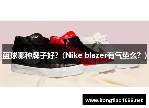 篮球哪种牌子好？(Nike blazer有气垫么？)