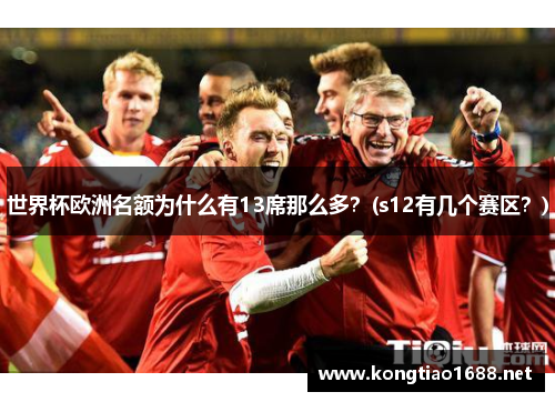 世界杯欧洲名额为什么有13席那么多？(s12有几个赛区？)