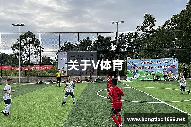 关于V体育